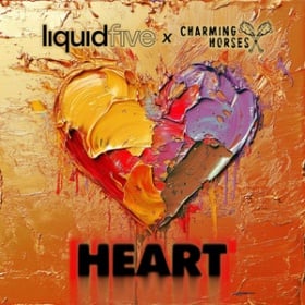 LIQUIDFIVE X CHARMING HORSES - HEART